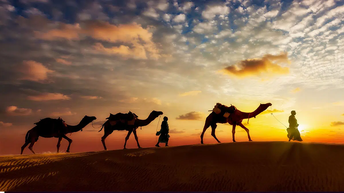 المهاجرون هم اهل ؟