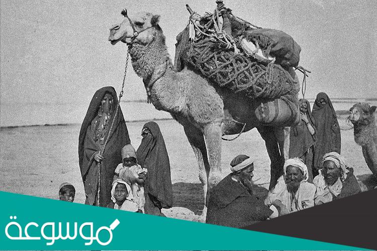 النيف كم سنة