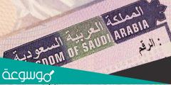 اهم شروط التأشيرة السياحية من مصر للسعودية