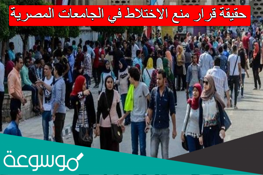 حقيقة قرار منع الاختلاط في الجامعات المصرية