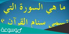 سورة يطلق عليها سنام القران