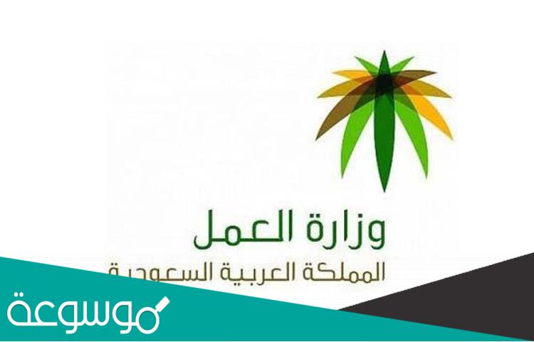 شروط وطريقة استقدام العمالة الإندونيسية وأفضل مكاتب الاستقدام