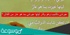 عيرتني بالشيب وهو وقار ليتها عيرتني بما هو عار من القائل