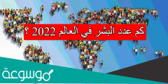 كم عدد البشر في العالم 2022