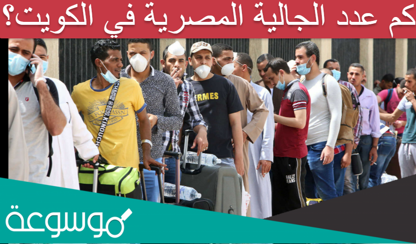 كم عدد الجالية المصرية في الكويت؟