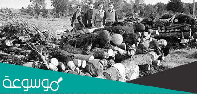 كم عدد ضحايا الحرب العالمية الثانية