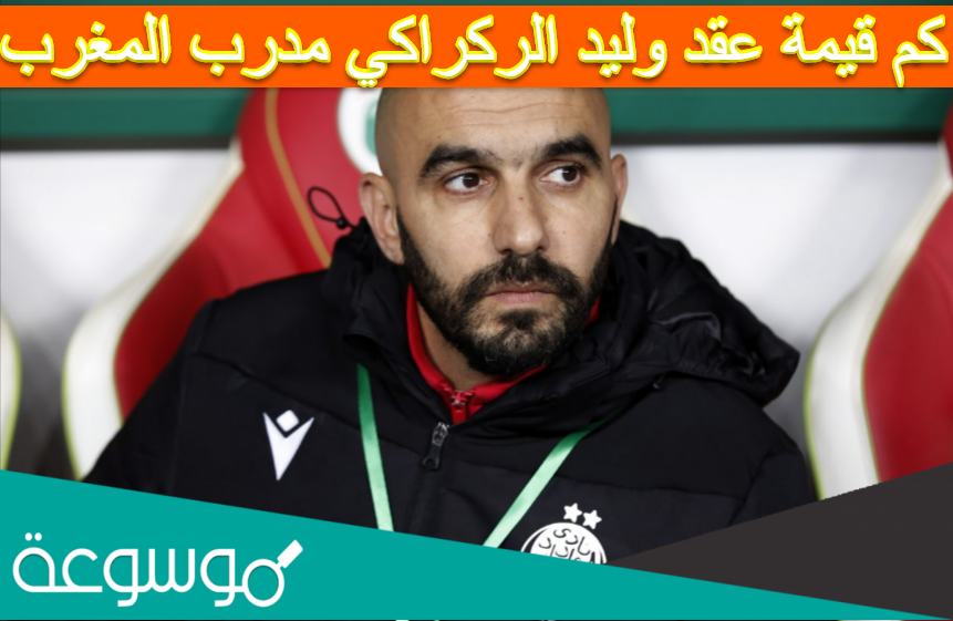 كم قيمة عقد وليد الركراكي مدرب المغرب