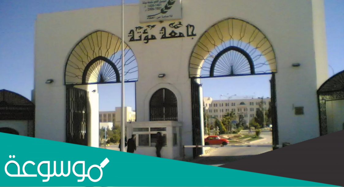 كم معدل دخول جامعه مؤته؟