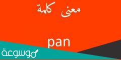 ما معنى كلمة pan
