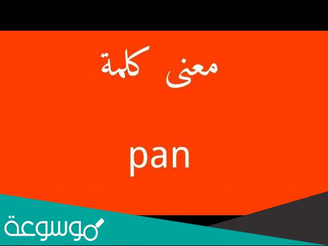 ما معنى كلمة pan