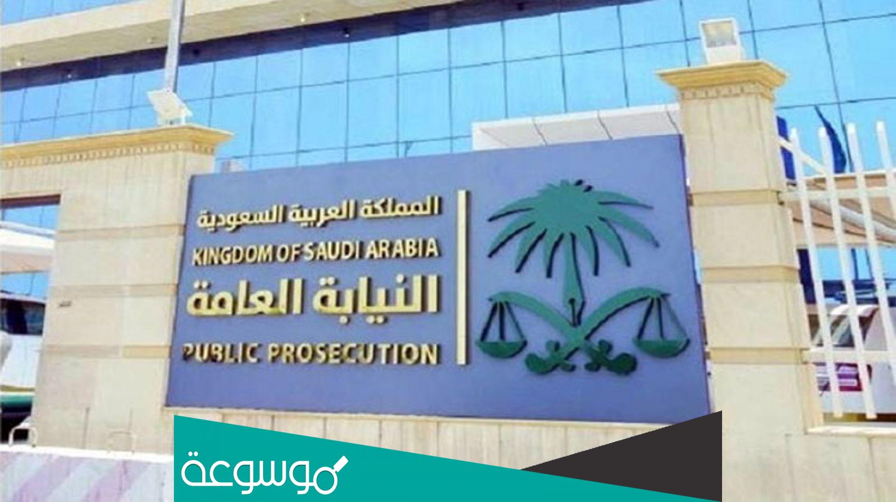 ما هو الدليل الإجرائي للعمل النيابي