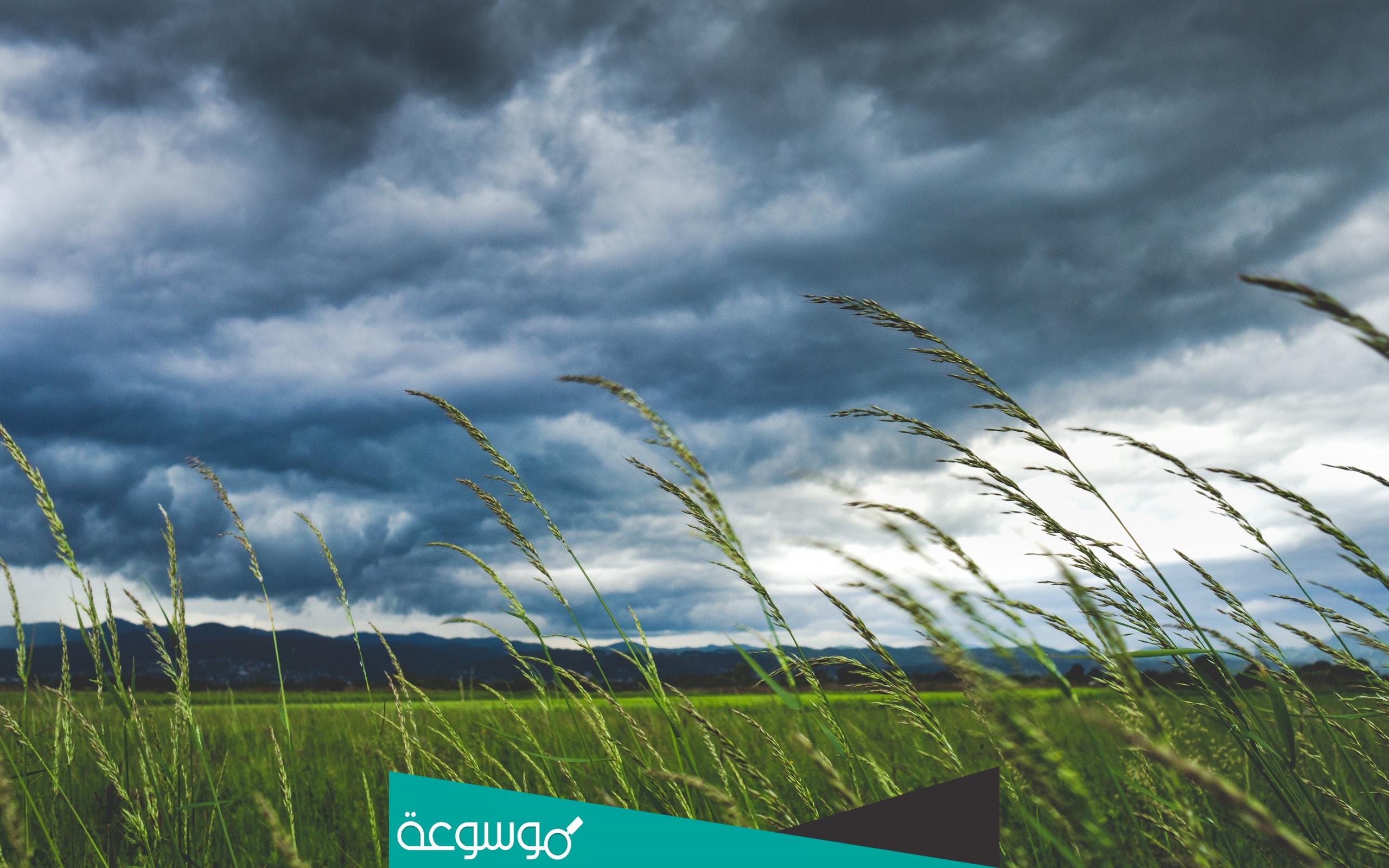 ما هو اسم الرياح التي تهب بقوة على خط الاستواء