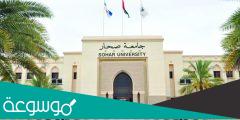 ما هي تخصصات جامعة صحار