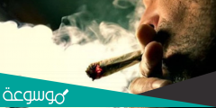 ماذا يحدث للجسم عند التوقف عن التدخين الحشيش