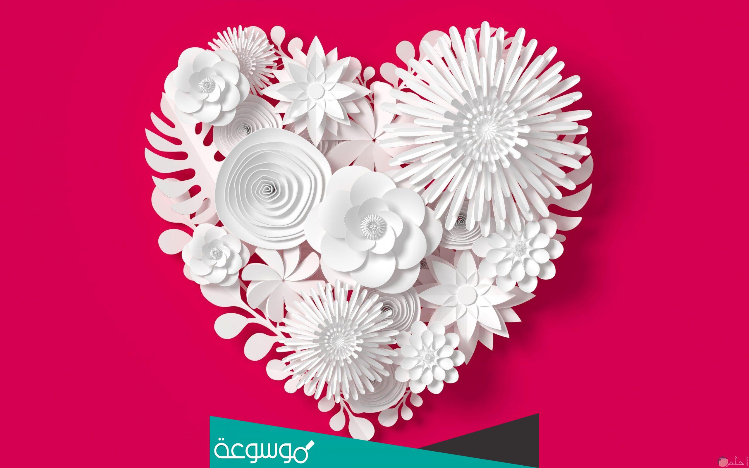 ماذا يعني القلب الابيض