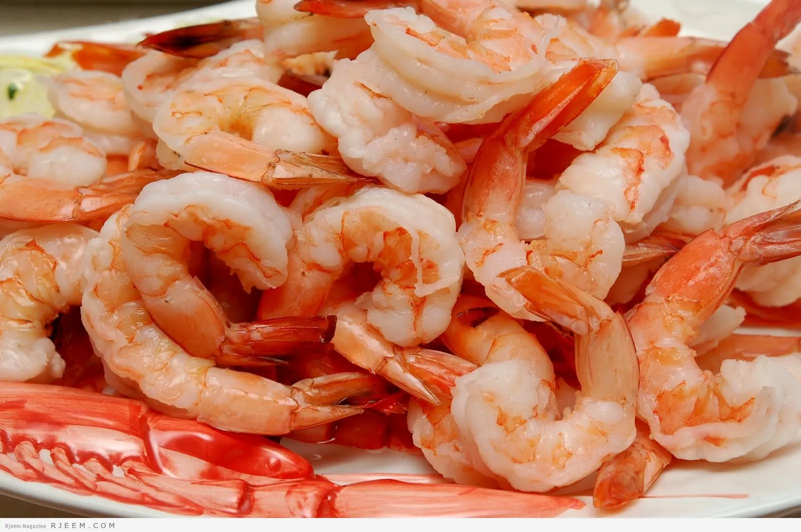 ماهو الكائن الذي قلبه في راسه