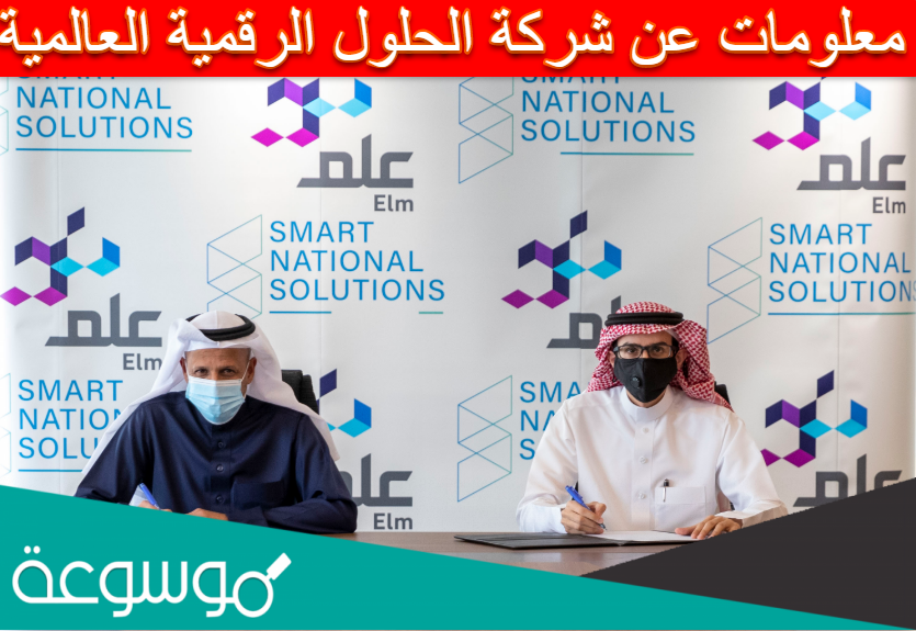 معلومات عن شركة الحلول الرقمية العالمية