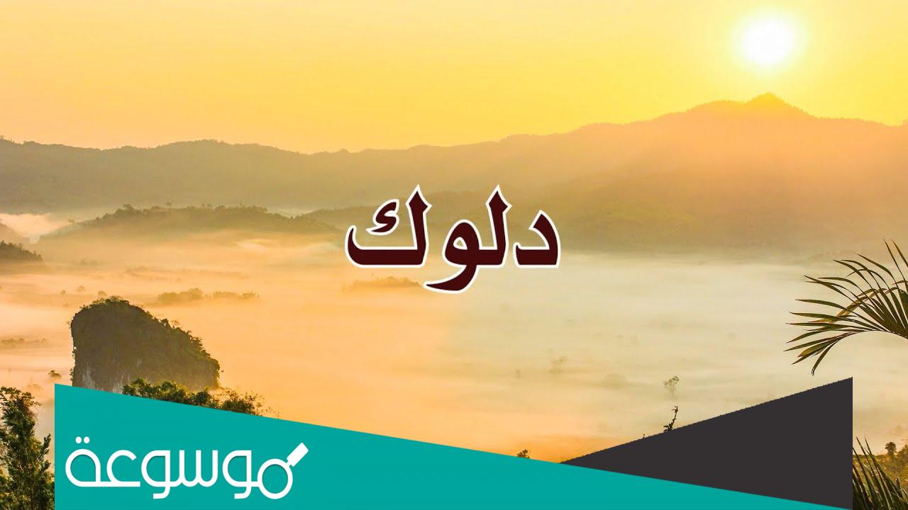 معنى دلوك الشمس الى غسق الليل