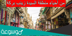 من أحياء منطقة السيدة زينب بركة