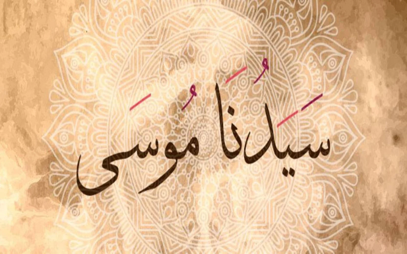 من هو اكثر الانبياء ذكر في القران