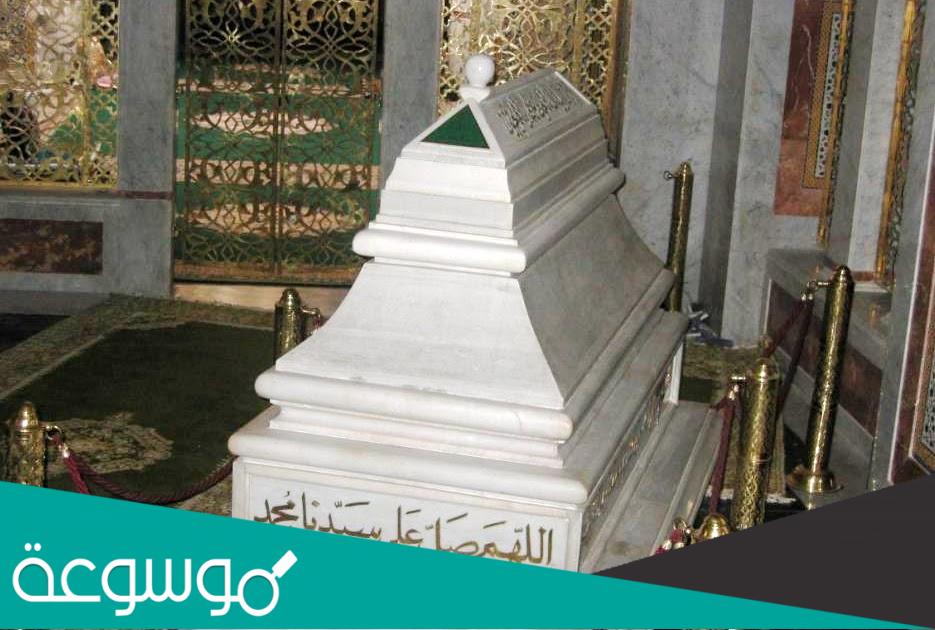 من هو الشيخ التيجاني