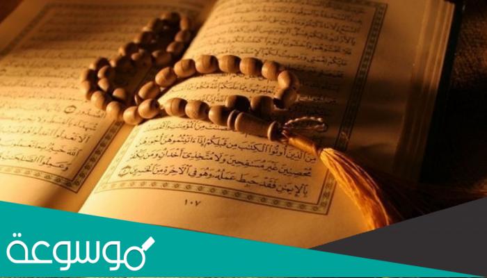 من هو النبي الذي ذكر في القران كثيرا