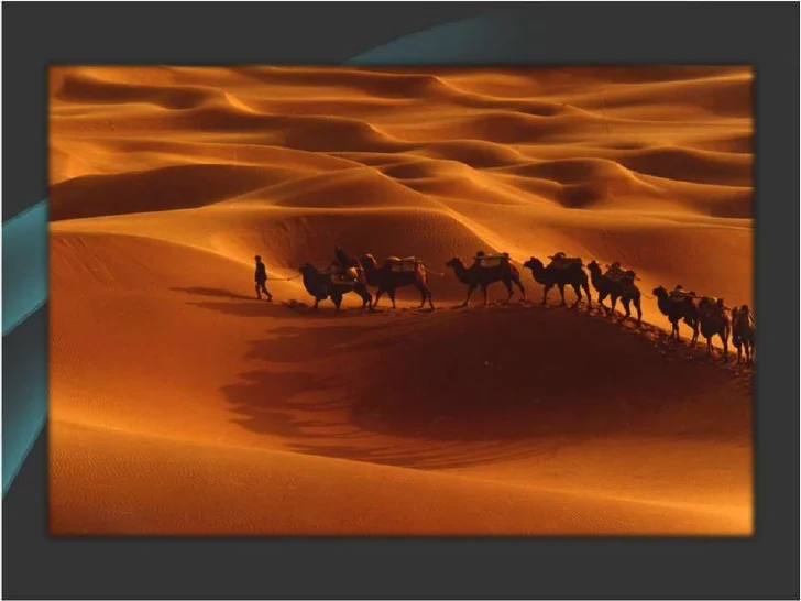 من هو رفيق الرسول في رحلة الهجرة