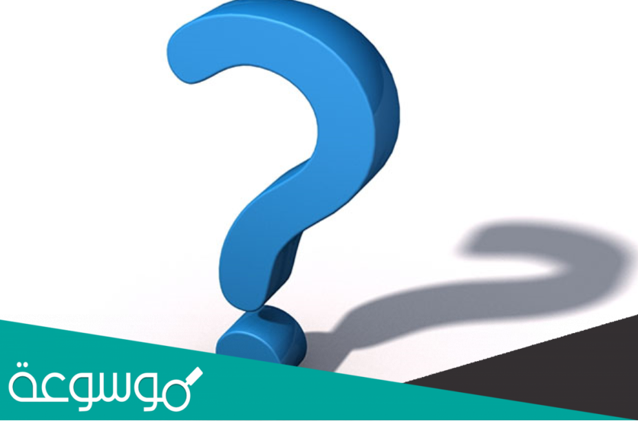 من هي ايمي تاتو ويكيبيديا