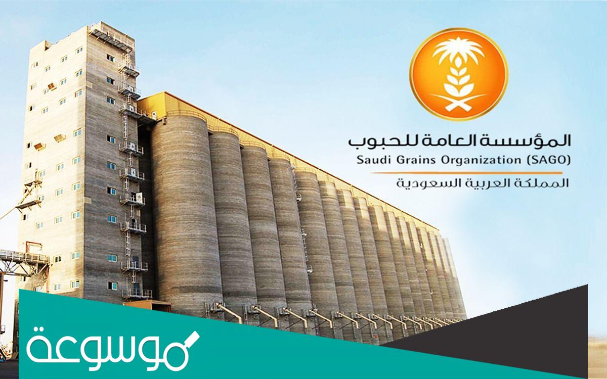 موعد صرف مستحقات الدفعة التاسعة من مزارعي القمح