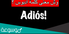 وش معنى كلمة اديوس