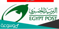 وظائف هيئة البريد المصري للمؤهلات العليا والدبلومات .. سجل الآن