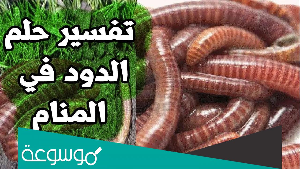 تعبير رؤية الدود في المنام للمتزوجة في الحمام