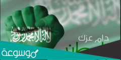 تفسير رؤية حفل اليوم الوطني السعودي بالمنام