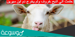 حلمت اني اذبح خروف ولم يخرج دم ابن سيرين