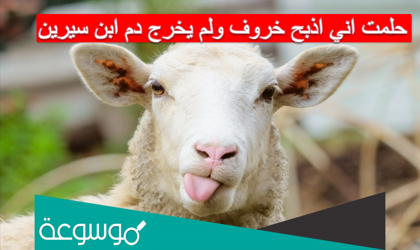 حلمت اني اذبح خروف ولم يخرج دم ابن سيرين