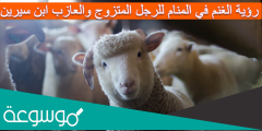 رؤية الغنم في المنام للرجل المتزوج والعازب ابن سيرين