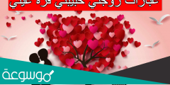 عبارات زوجتي حبيبتي قرة عيني