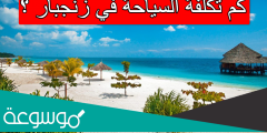 كم تكلفة السياحة في زنجبار