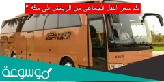 كم سعر النقل الجماعي من الرياض إلى مكة