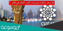 كم سعر تذكرة مباريات كاس العالم في قطر
