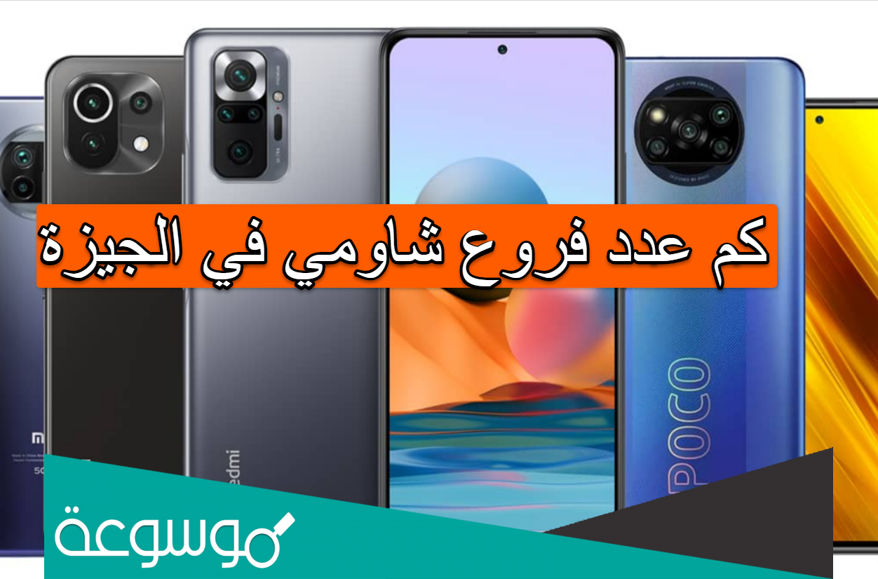 كم عدد فروع شاومي في الجيزة