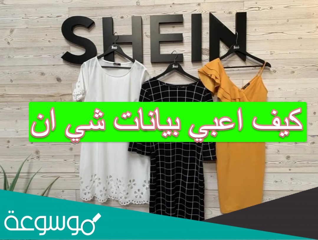كيف اعبي بيانات شي ان