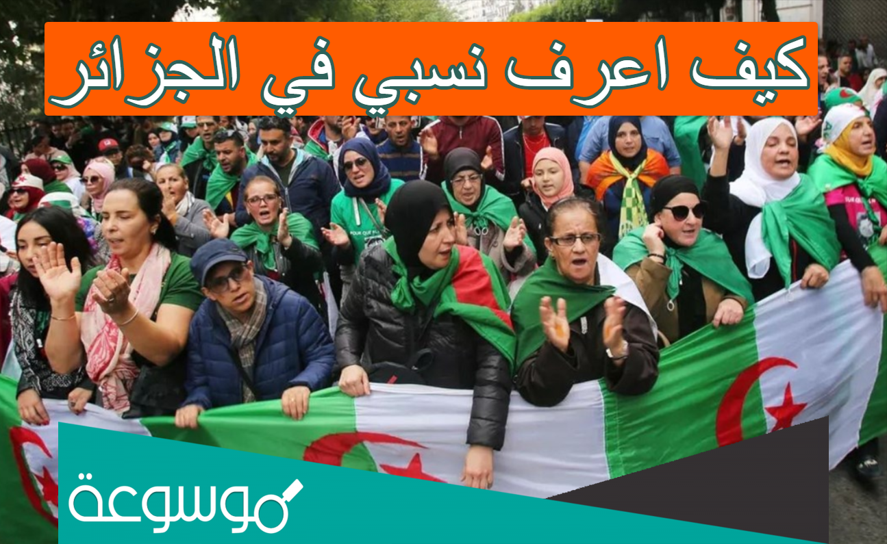 كيف اعرف نسبي في الجزائر