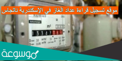 موقع تسجيل قراءة عداد الغاز في الإسكندرية ناتجاس