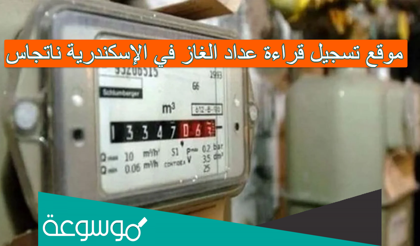 موقع تسجيل قراءة عداد الغاز في الإسكندرية ناتجاس