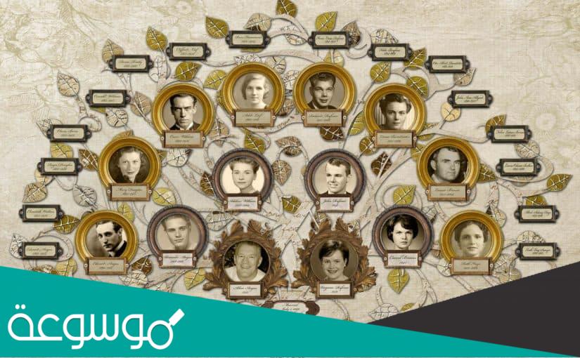 اكبر عائلات مصر من حيث العدد