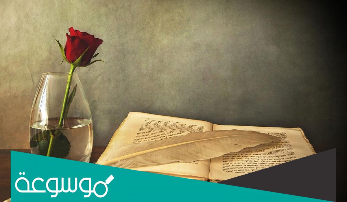 رواية قلبي بنارها مغرم pdf تحميل