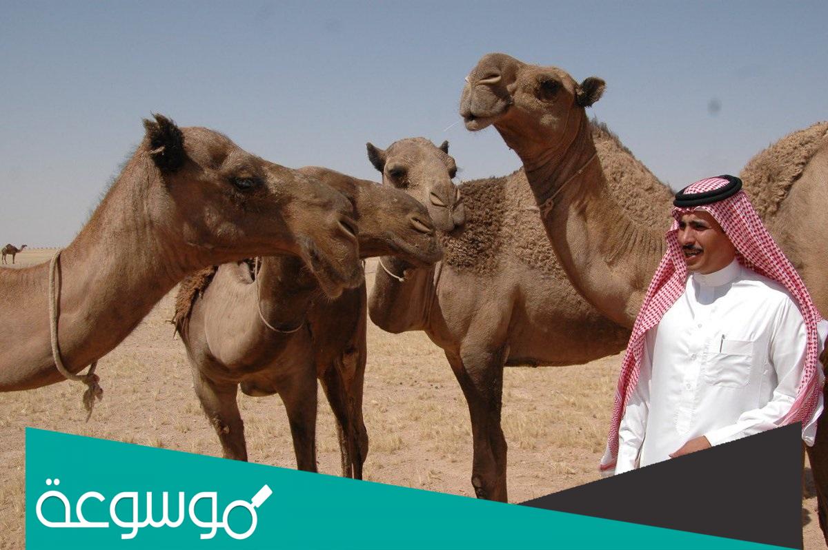 سبب وفاة أحمد بن عشوان في السعودية