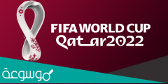 كم تكلفة كأس العالم في قطر