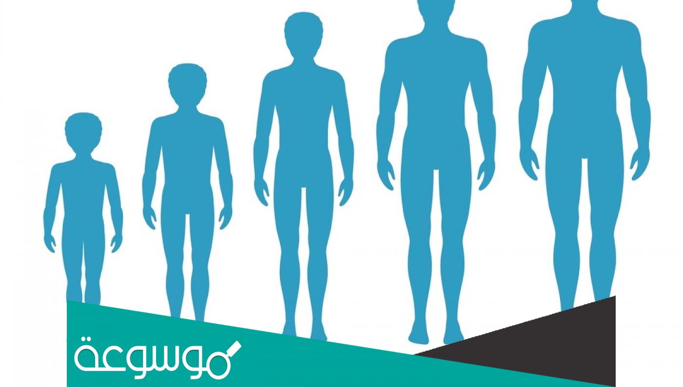 ما هي الأطعمة التي تحفز هرمون النمو؟